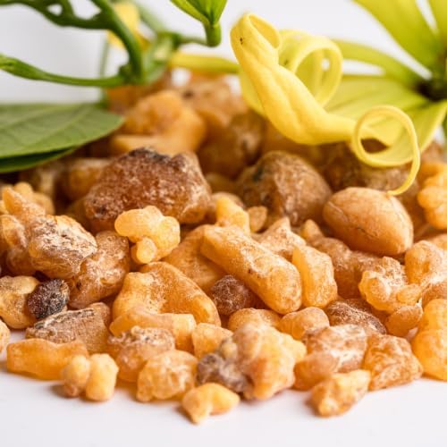 Frankincense Essential Oil - Direct from Madhya Pradesh, India - Pure Essential Oil for Diffusers and Aromatherapy | 100% Pure Therapeutic Grade Natural Aceite de Incienso (15ml)