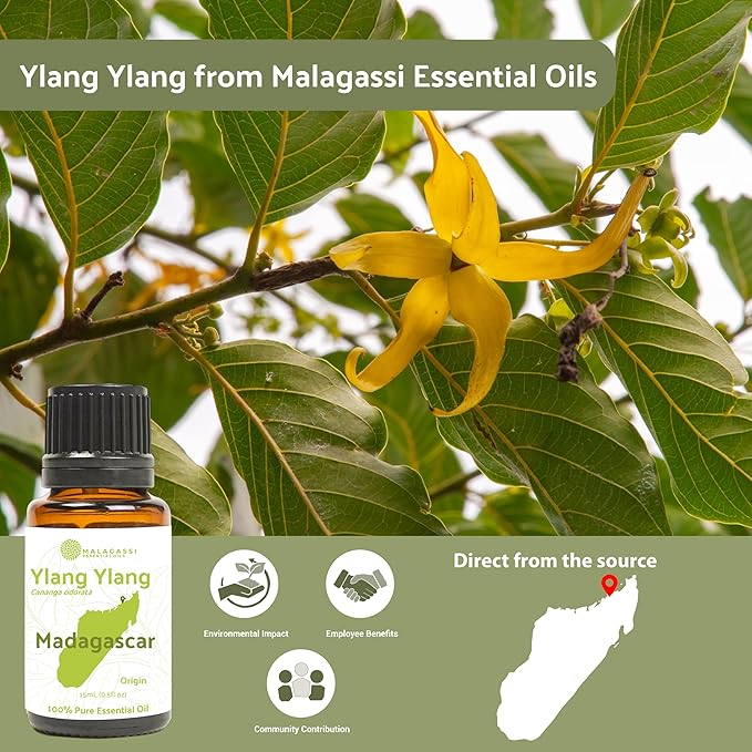 Ylang Ylang Essential Oil - Direct from Malagassi Essential Oils Madagascar - Steam Distilled - Aceite de Ylang Ylang for Aromatherapy, Diffuser, DIY Candle and Soap Making - 22lbs