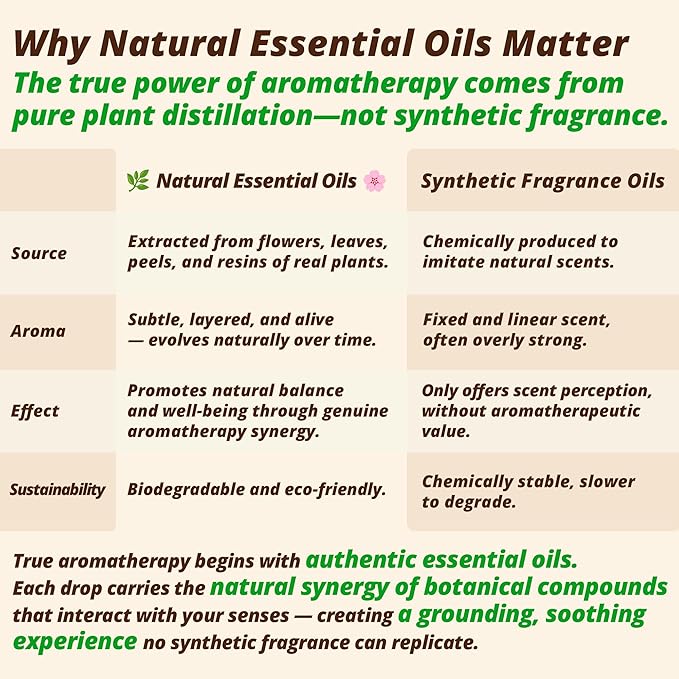 Frankincense & Lavender Aromatherapy Body & Massage Oil – Lightweight Hydration with a Warm Resinous-Floral Essential Oil Aroma for a Balanced Daily Use Experience, 1 fl oz / 30 ml