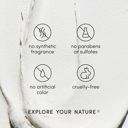 LATHER - Bamboo Lemongrass Body Moisturizer, 8 fl oz - Daily Hydrating Body Lotion - Essential Oils & Vitamins - Aloe, Seaweed, Chamomile, & Cedarwood - Vegan & Cruelty Free - Beauty & Skin Care