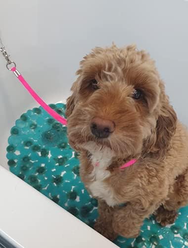 Pet Dog Grooming Loop, Nylon Restraint Noose Adjustable Fixed Dog Cat Safety Tether Straps Dog Grooming Supplies for Pet Grooming Table Bathtub - 6 Pack / 6 Color
