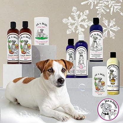Jax n Daisy Honey Shampoo for Dogs Dog Shampoo for All Kinds of Breed Puppy w Honey Nectar Coconut Avocado Argan Oil pet with Lght Scent Furry Freshness