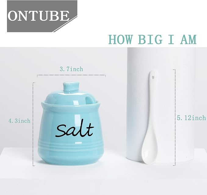 ONTUBE Ceramic Salt Bowl with Lid and Spoon 12oz (Turquoise)