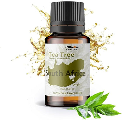 Tea Tree Essential Oil - Direct from Kwazulu Botanicals South Africa - Steam Distilled - Aceite Esencial de Árbol de Té for Aromatherapy, Diffuser, DIY Candle and Soap Making - 15ml