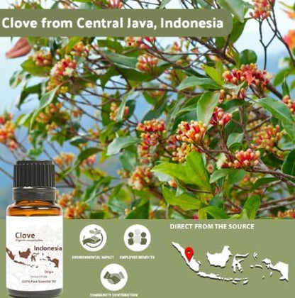 Clove Essential Oil - 100% Pure Steam Distilled Natural Aceite de Clavo from Indonesia for Aromatherapy & Wellness - Premium Grade (22lbs)