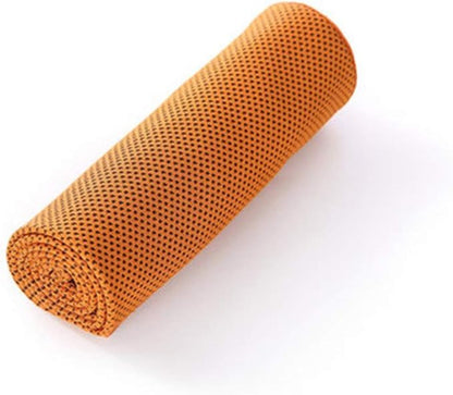 Sports Cooling Towel - Quick Dry Lightweight Towel for Gym, Swimming, Camping