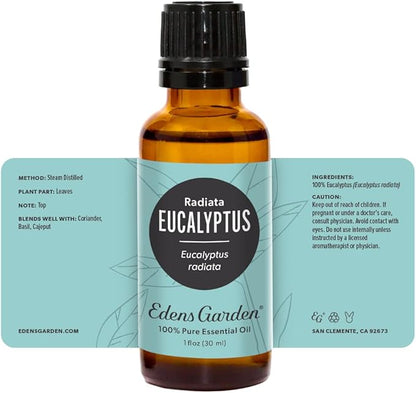 Edens Garden Eucalyptus- Radiata Essential Oil- 100% Pure Premium Grade, Undiluted, Natural, Therapeutic, Aromatherapy, The Best for Diffuser, Laundry, Hair, Humidifiers 30 ml (1 fl oz)
