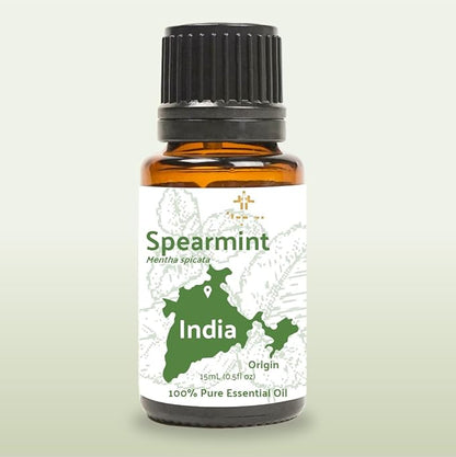 Spearmint Essential Oil - Direct from Essential Oils India - Steam Distilled - Aceite Esencial de Menta Verde for Aromatherapy, Massage, Diffuser, DIY Candle and Soap Making - 22lbs