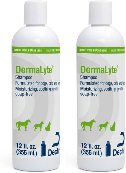 Shampoo, 12 Ounce (Pack of 2)