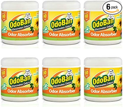 OdoBan Solid Odor Absorber Eliminator for Home and Small Spaces, Citrus Scent, 14 Ounces Each, 6-Pack