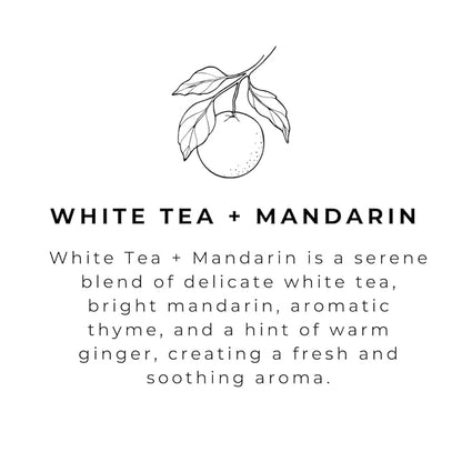 River Birch White Tea + Mandarin Scented Natural Hand Soap - Handmade Soap - Moisturizing Hand Wash with Amber Glass Dispenser - Luxury Scented Hydrating Hand Soap - Vegan and Non-Toxic - 16 Fl Oz