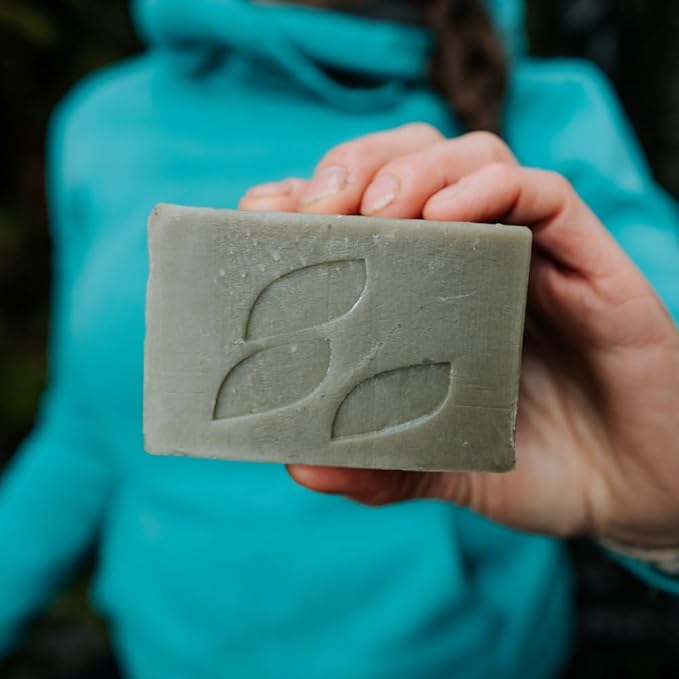 Alaska Glacial Cold-Process Mineral Clay Soap Bar made with Organic Oils | Face, Body, Shampoo & Shave | Hydrates & Detoxifies | For All Skin Types – Citrus Blend, 2 Pack
