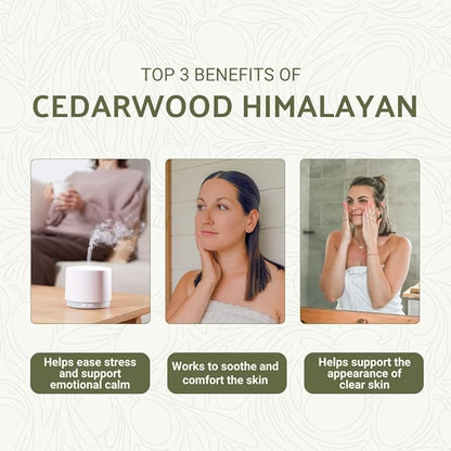 Cedarwood Himalayan Essential Oil - 100% Pure Steam Distilled Natural Cedarwood Himalayan Oil (Aceite de Cedro) from Natural Biotech NBT India for Aromatherapy & DIY Projects - 2lbs