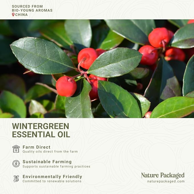 Wintergreen Essential Oil - Direct from Bio-Young Aromas China - Steam Distilled - Aceite de Gaulteria for Aromatherapy, Massage, Diffuser, DIY Candle and Soap Making - 22lbs