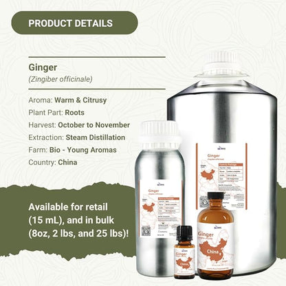Ginger Essential Oil - Direct from Bio-Young Aromas - Pure Ginger Oil for Skin - Aceite de Jengibre - Aromatherapy 100% Therapeutic Premium Grade (22lbs)