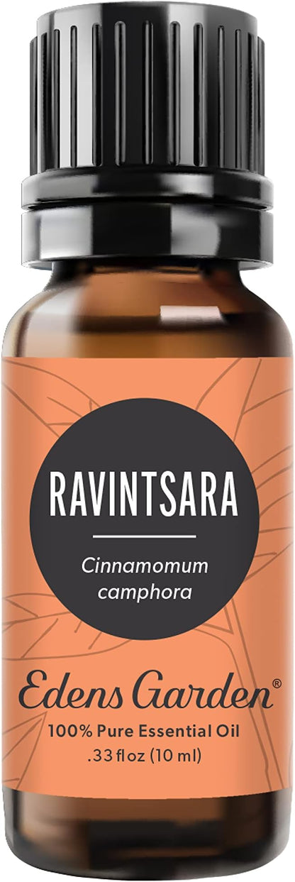 Edens Garden Ravintsara Essential Oil- 100% Pure Premium Grade, Undiluted, Natural, Therapeutic, Aromatherapy, The Best for Diffuser, Candle, Laundry, Humidifiers 10 ml (.33 fl oz)