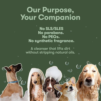 PUPPI Gentle Dog Shampoo Mini (Amberis) | 3.1 fl oz. / 92 ml | Enriched with Aloe Vera and Cucumber Extract | Hypoallergenic Dog Shampoo Sensitive Skin | Travel Size Shampoo