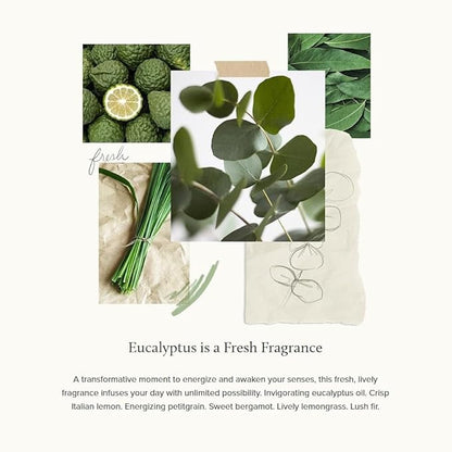 Thymes Home Fragrance Mist – Room Air Fresheners for Home Long Lasting – Air Freshener Spray – Scented Room Spray with Notes of Eucalyptus Oil, Italian Lemon, Fir, & Petitgrain (Eucalyptus, 3 oz)