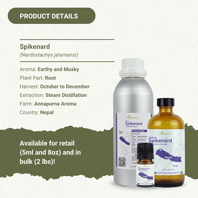 Organic Spikenard Essential Oil - Direct from Annapurna Aroma Nepal - Steam Distilled - Aceite de Nardo for Aromatherapy, Massage, Diffuser, DIY Candle and Soap Making - 8oz