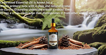 Luxurious Cedarwood Essential Oil by Enhanced Essentials|Pure & Natural|for Home,Diffusers,Skin,Aromatherapy, Bath,Massage,Perfume,Gifting,Soap & Candle Making|with Glass Dropper| 3.38 fl oz (100 ml)