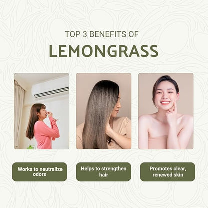 Lemongrass Essential Oil - Natural Aceite de Hierba Limón from Norex Flavours India - Lemongrass Essential Oils for Hair, Aromatherapy and Massage (22lbs)