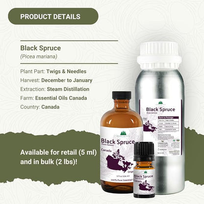 Black Spruce Essential Oil from Canada - Pure Essential Oils for Diffuser, Humidifier, or Aromatherapy- Fresh & Forest-Like | Pure Therapeutic Grade (5ml)