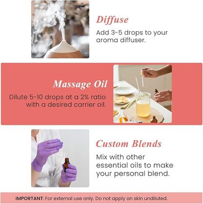 Handcraft Blends Grapefruit Essential Oil – Huge 4 Fl Oz – 100% Pure and Natural – Premium Grade Essential Oil for Diffuser and Aromatherapy, Skin, Massage, Candle and Soap Making Fragrance