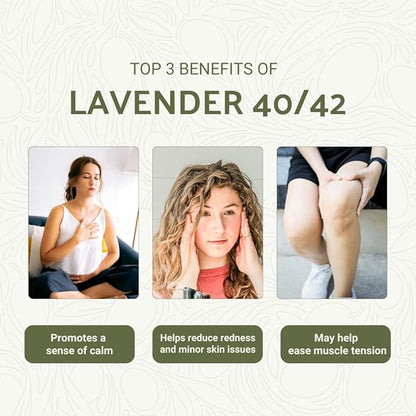 Lavender 40/42 Essential Oil Direct from France - Essential Oil for Candle Making and Soaps - Pure Lavender 40/42 Oil for Aromatherapy, Skincare, Haircare, Perfumes (8oz)