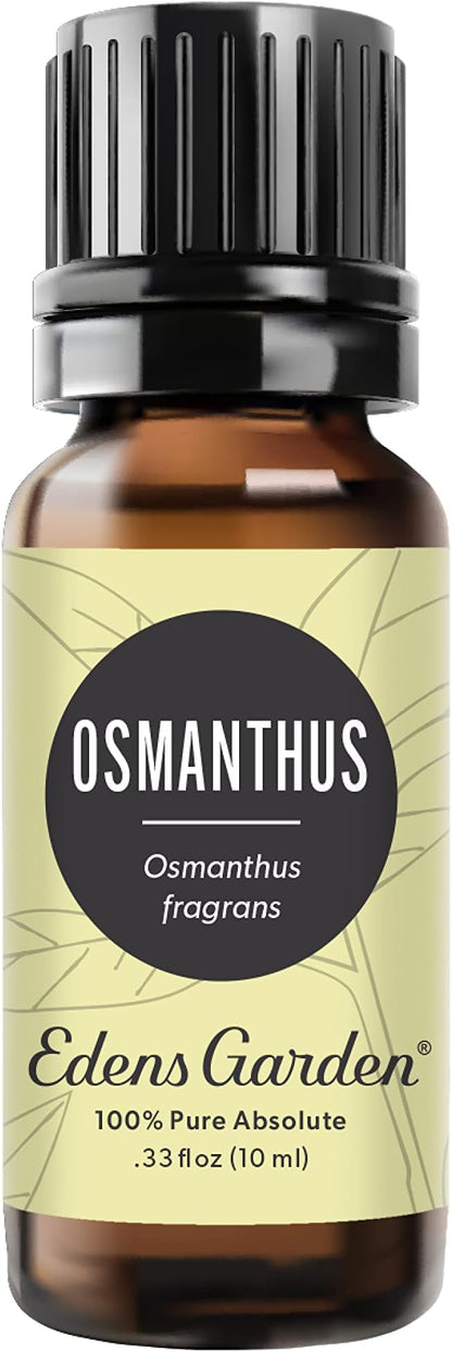 Edens Garden Osmanthus Essential Oil- 100% Pure Premium Grade, Undiluted, Natural, Therapeutic, Aromatherapy, The Best for Diffuser, Skin, Face, Hair 10 ml (.33 fl oz)