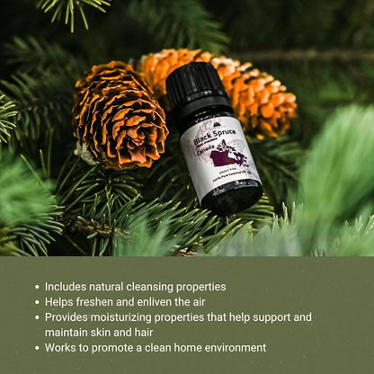 Organic Black Spruce Essential Oil from Canada - Black Spruce Essential Oils for Candle Scent (2lbs)