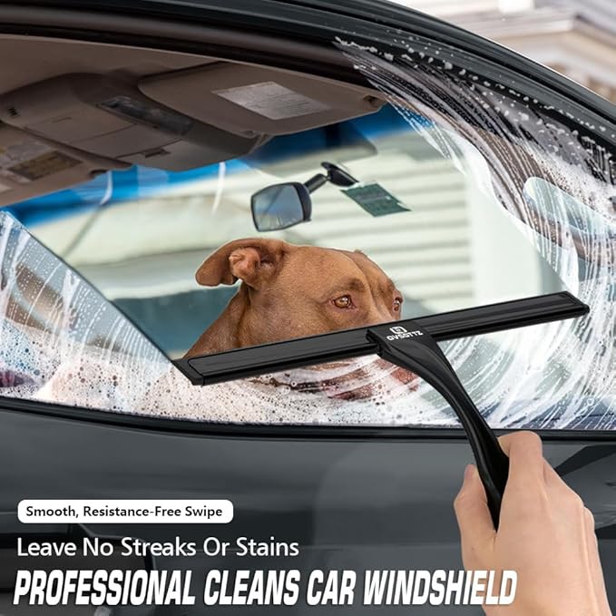 Shower Squeegee for Glass Door with 3 Adhesive Hook, Household Window & Stainless Steel Glass Cleaning Squeegee for Bathroom, Mirrors, Tiles and Car, 10 Inches, Clear, Black