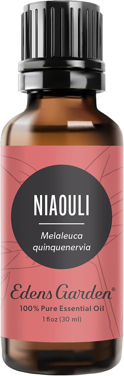 Edens Garden Niaouli Essential Oil- 100% Pure Premium Grade, Undiluted, Natural, Therapeutic, Aromatherapy, The Best for Diffuser, Skin, Candle, Humidifiers 30 ml (1 fl oz)