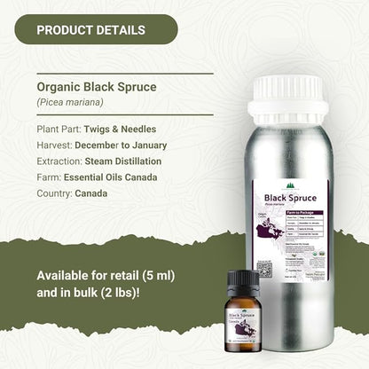 Organic Black Spruce Essential Oil from Canada - Black Spruce Essential Oils for Candle Scent (5mL)
