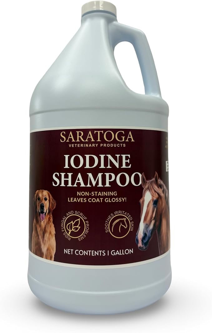 2% Iodine Shampoo for Horses & Dogs – Non-Staining Antiseptic Wash for Skin Irritation, Scratches, Fungus & Rain Rot – Cleans & Shines Coat – 1 Gallon – Saratoga Veterinary Products