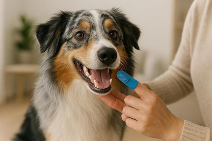 Dog Washing Hose Attachment–ALL IN ONE Dog Bath Supplies,Hose Soap Sprayer,Dog Washing Kit,Dog Drying Towel,Dog Tooth Brush, Dog Washing Brush, Dog Bath Scrubber and Dog Shampoo Brush