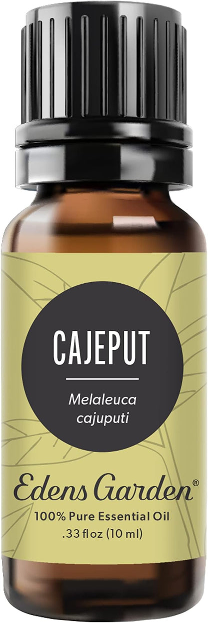 Edens Garden Cajeput Essential Oil, 100% Pure Therapeutic Grade (Undiluted Natural/Homeopathic Aromatherapy Scented Essential Oil Singles) 10 ml