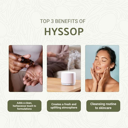 Hyssop Essential Oil - Direct from Aromáticas Zalabí Spain - Steam Distilled - Aceite de Hisopo for Aromatherapy, Massage, Diffuser, DIY Candle and Soap Making - 15ml