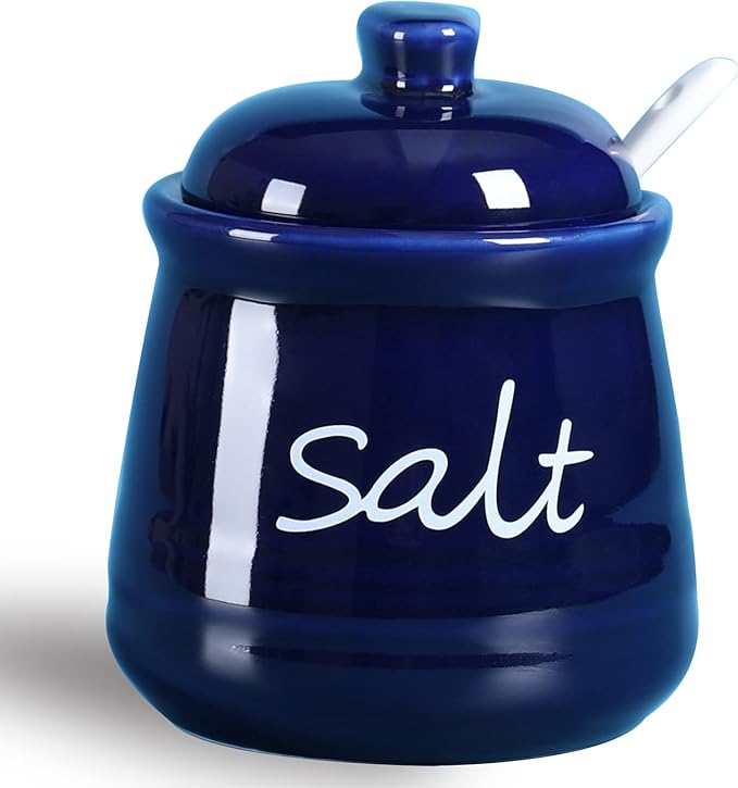 ONTUBE Ceramic Salt Bowl with Lid and Spoon 12oz White (Navy)