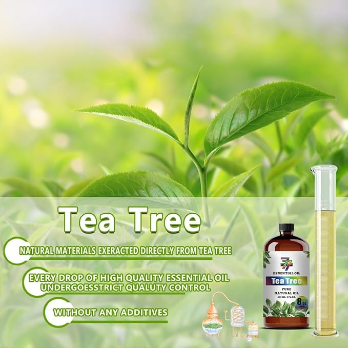 Tea Tree Essential Oil (8 oz / 240 ml) – Tea Tree Oils for diffusers, humidifiers, Home Baths, Cleaning Products, Yoga, DIY Soaps and DIY Scented Candles