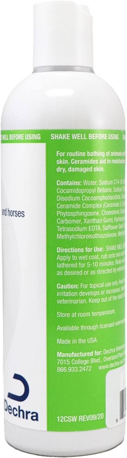 Shampoo, 12 Ounce (Pack of 2)