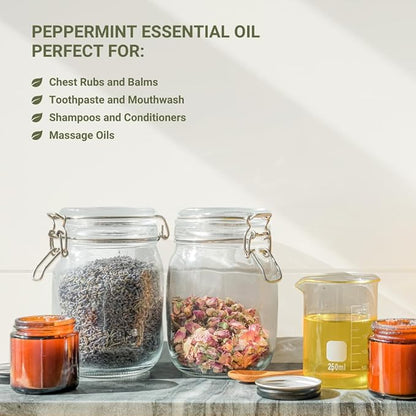 Peppermint Essential Oil - Direct from Norex Flavours India - Steam Distilled - Aceite Esencial de Menta for Aromatherapy, Massage, Diffuser, DIY Candle and Soap Making - 8oz
