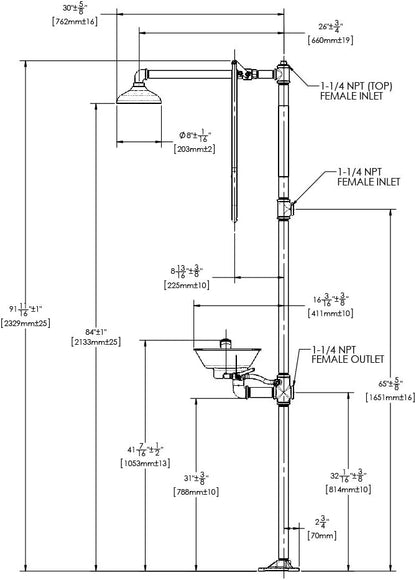 Speakman SE-693 Traditional Series Combination Emergency Eyewash and Shower Essential Safety Station, 1.25-in Stanchion, Stainless Steel Bowl