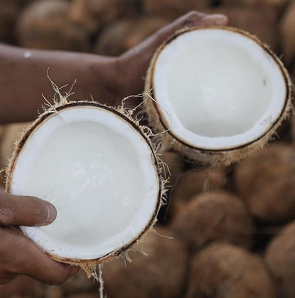 Fractionated Coconut Oil - Sourced Directly from our Farm Partner in the Philippines - Carrier Oil for Diluting Essential Oils, Body, Hair, and Skin Moisturizer - (1Gallon)