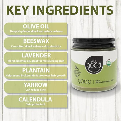 All Good Goop Organic Skin Care Recovery Balm - All Purpose Ointment w/Calendula, Lavender, Beeswax - Chafing Cream, Dry Skin Salve, Cracking Lip Moisturizer - Soothes, Hydrates & Calms - 4oz, 2-pack