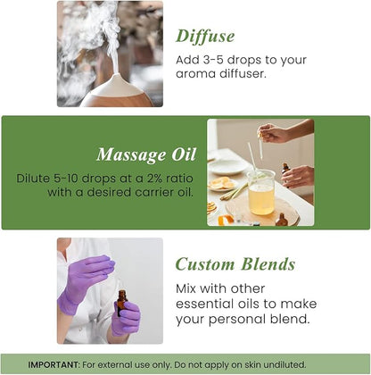 Handcraft Blends Rosemary Essential Oil – Huge 4 Fl Oz – 100% Pure and Natural – Premium Grade Essential Oil for Diffuser and Aromatherapy, Skin, Massage, Candle and Soap Making Fragrance
