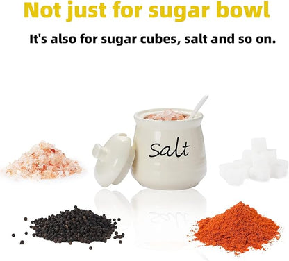 ONTUBE Ceramic Salt Bowl with Lid and Spoon 12oz (Beige)