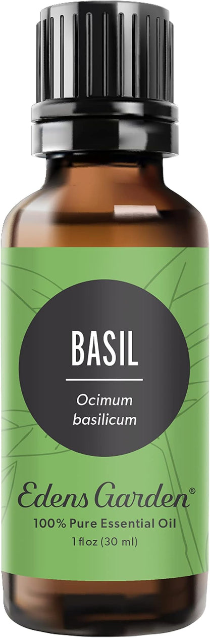 Edens Garden Basil Essential Oil- 100% Pure Premium Grade, Undiluted, Natural, Therapeutic, Aromatherapy, The Best for Diffuser, Skin, Candle, Laundry 30 ml (1 fl oz)