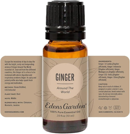 Edens Garden Ginger Around The World Essential Oil- 100% Pure Premium Grade, Undiluted, Natural, Therapeutic, Aromatherapy, The Best for Diffuser, Skin, Candle, Laundry 10 ml (.33 fl oz)