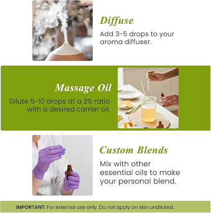 Handcraft Blends Rosemary Essential Oil – 0.33 Fl Oz – 100% Pure and Natural – Premium Grade Essential Oil for Diffuser and Aromatherapy, Skin, Massage, Candle and Soap Making Fragrance
