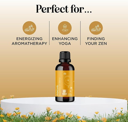 Focus Essential Oil Blend for Diffusers - Aromatherapy Essential Oils Blend for Home and Travel Energy Focus and Attention Support with Grapefruit Bergamot Peppermint and Eucalyptus (1 Fl Oz)